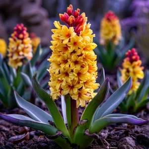 Гиацинт Миднайт Мистери купить по цене от 2099р. в интернет-магазине «Посадика» с доставкой почтой в в Москве и по всей России – [изображение №1].